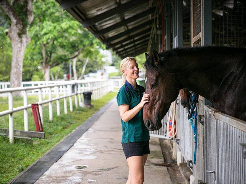 Riding for the disabled association singapore