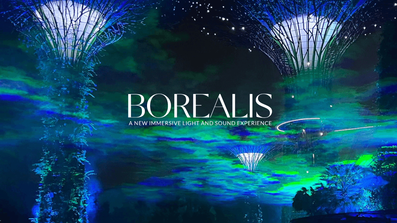 Borealis: See the northern lights from our Supertrees.