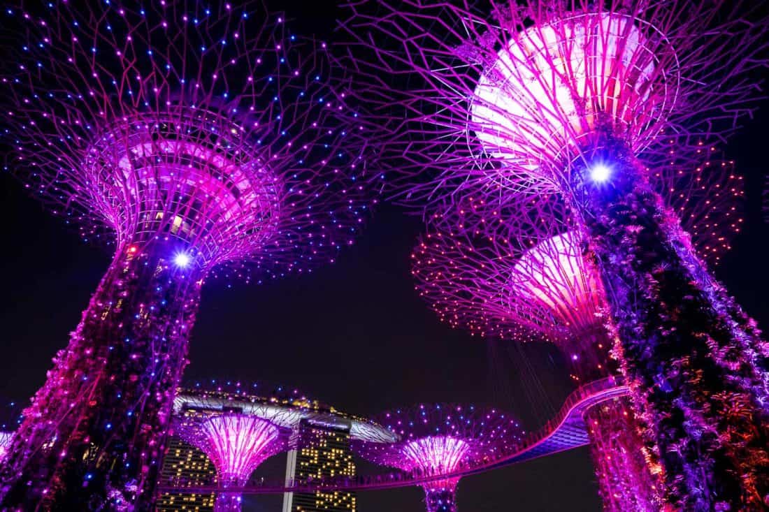 Supertrees Light Show